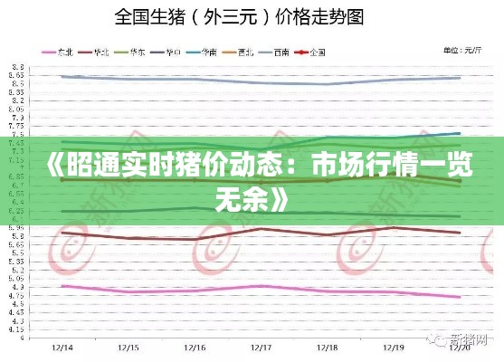 《昭通实时猪价动态:市场行情一览无余》