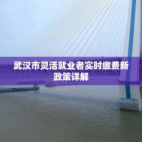武汉市灵活就业者实时缴费新政策详解