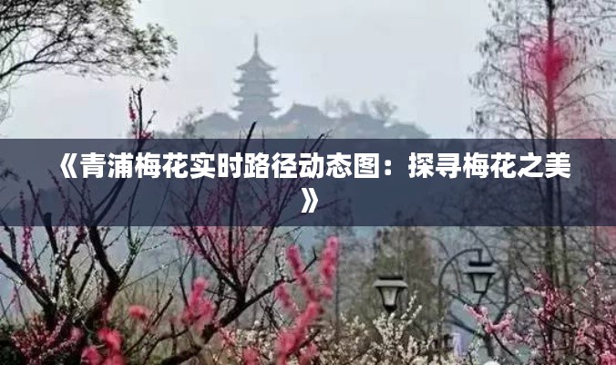 《青浦梅花实时路径动态图：探寻梅花之美》