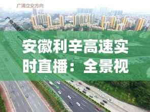 安徽利辛高速实时直播:全景视角见证交通发展