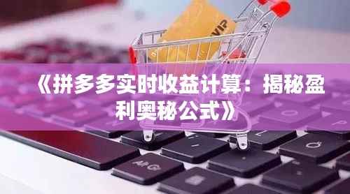 《拼多多实时收益计算:揭秘盈利奥秘公式》
