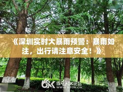 《深圳实时大暴雨预警：暴雨如注，出行请注意安全！》