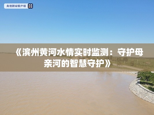 《滨州黄河水情实时监测：守护母亲河的智慧守护》