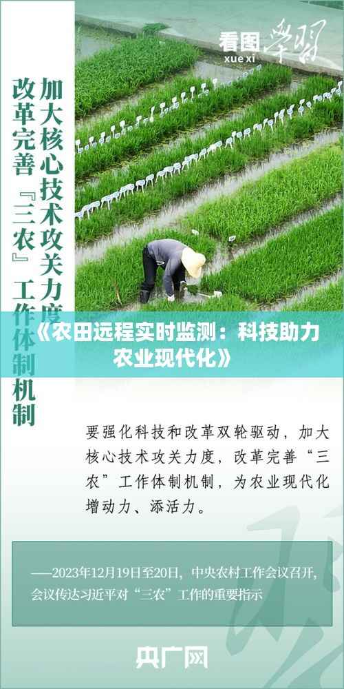 《农田远程实时监测：科技助力农业现代化》
