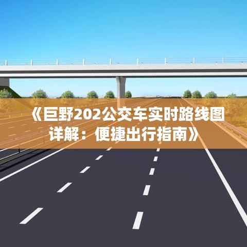 《巨野202公交车实时路线图详解：便捷出行指南》