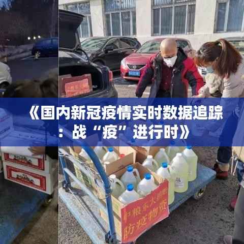 《国内新冠疫情实时数据追踪：战“疫”进行时》