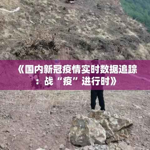 《国内新冠疫情实时数据追踪:战“疫”进行时》