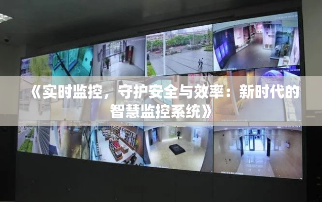 《实时监控，守护安全与效率：新时代的智慧监控系统》