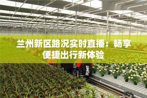 兰州新区路况实时直播：畅享便捷出行新体验