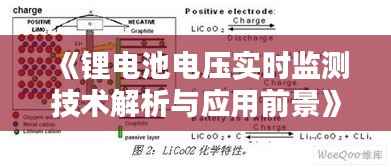 《锂电池电压实时监测技术解析与应用前景》