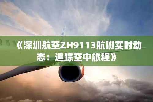 《深圳航空ZH9113航班实时动态：追踪空中旅程》