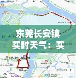 东莞长安镇实时天气：实时掌握，安心出行