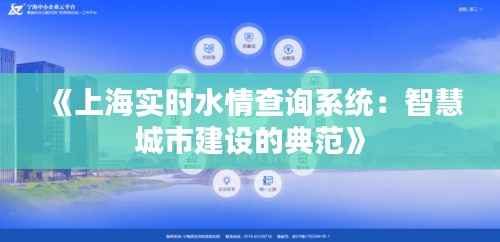 《上海实时水情查询系统：智慧城市建设的典范》