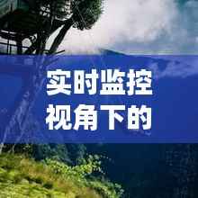 实时监控视角下的旅游胜地：安全与便捷的完美融合