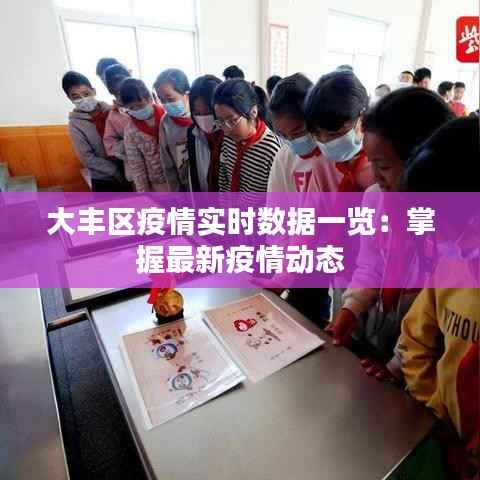 大丰区疫情实时数据一览：掌握最新疫情动态