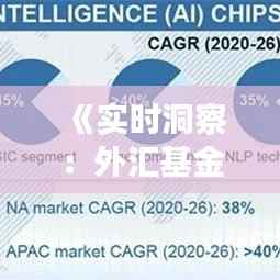 《实时洞察：外汇基金数据解析与市场动态》