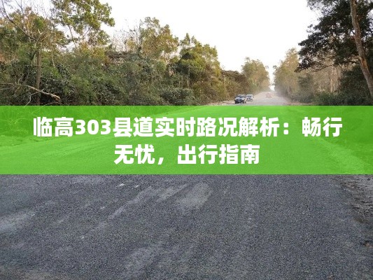 临高303县道实时路况解析：畅行无忧，出行指南