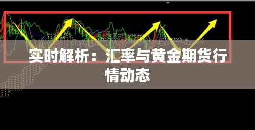 实时解析：汇率与黄金期货行情动态