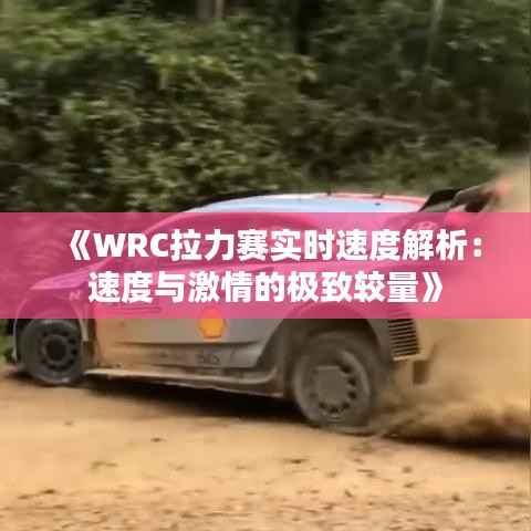 《WRC拉力赛实时速度解析：速度与激情的极致较量》