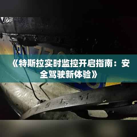 《特斯拉实时监控开启指南:安全驾驶新体验》