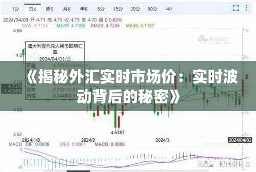 《揭秘外汇实时市场价：实时波动背后的秘密》