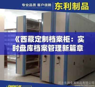 《西藏定制档案柜：实时盘库档案管理新篇章》