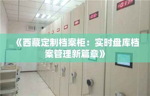 《西藏定制档案柜:实时盘库档案管理新篇章》