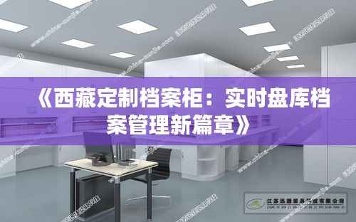 《西藏定制档案柜:实时盘库档案管理新篇章》