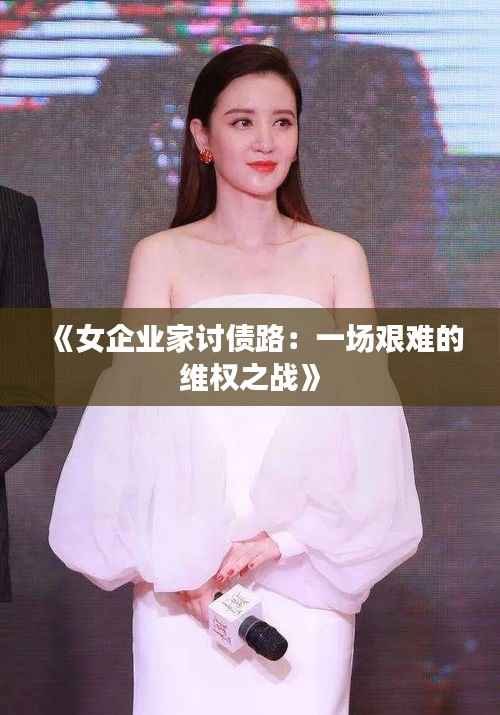 《女企业家讨债路:一场艰难的维权之战》