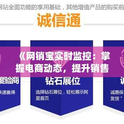 《网销宝实时监控：掌握电商动态，提升销售效率》
