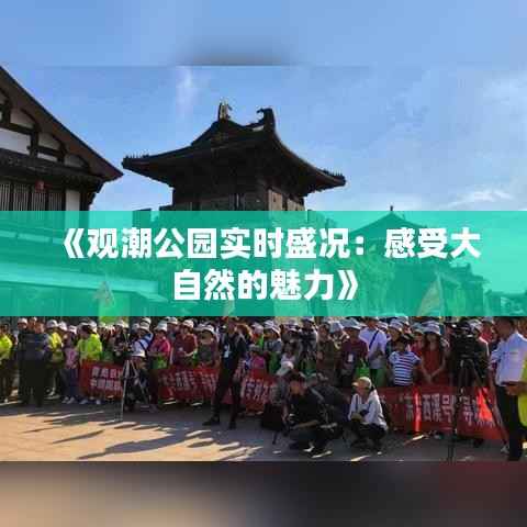 《观潮公园实时盛况：感受大自然的魅力》