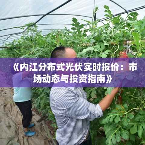《内江分布式光伏实时报价:市场动态与投资指南》