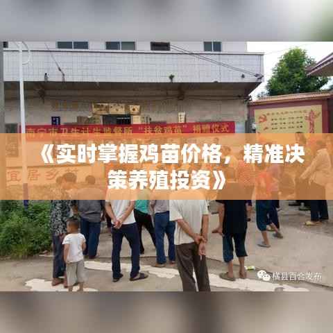 《实时掌握鸡苗价格，精准决策养殖投资》