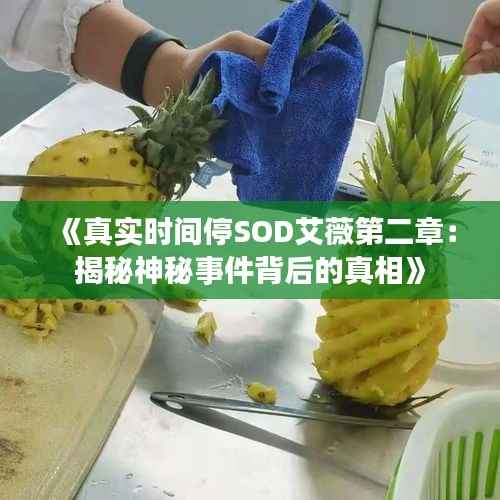 《真实时间停SOD艾薇第二章：揭秘神秘事件背后的真相》