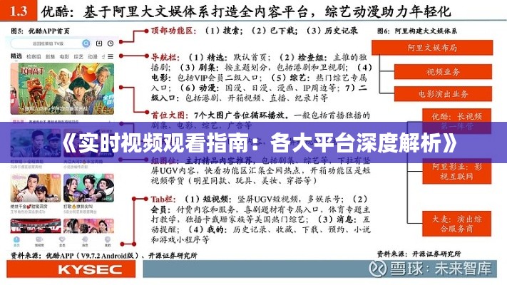 《实时视频观看指南:各大平台深度解析》