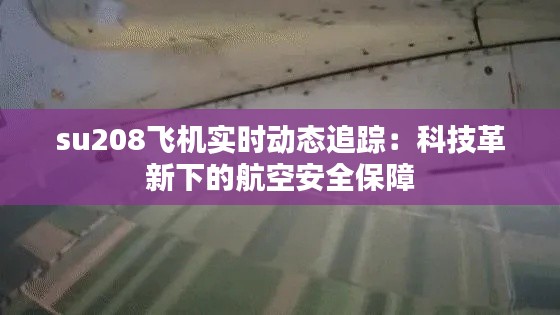 su208飞机实时动态追踪：科技革新下的航空安全保障