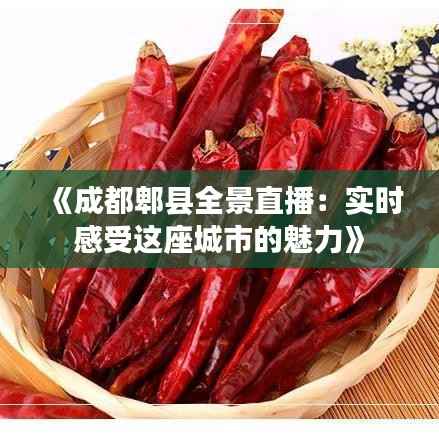 《成都郫县全景直播：实时感受这座城市的魅力》