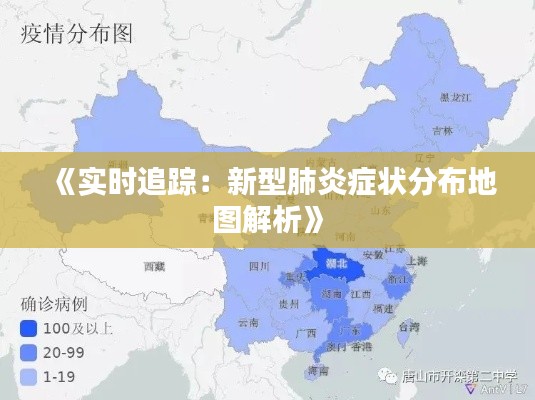 《实时追踪：新型肺炎症状分布地图解析》
