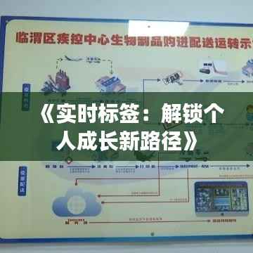 《实时标签：解锁个人成长新路径》