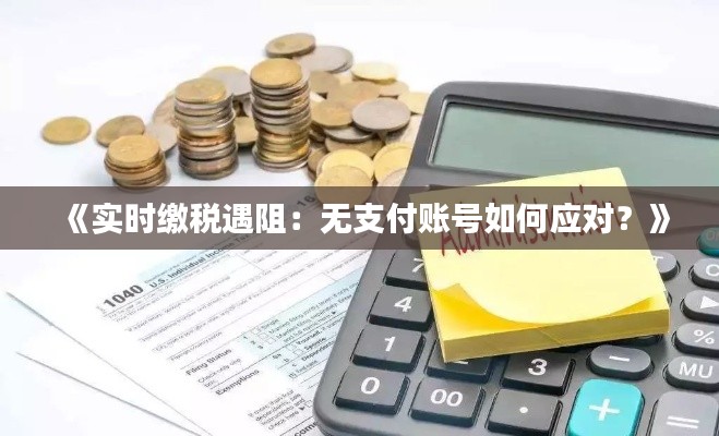 《实时缴税遇阻:无支付账号如何应对?》