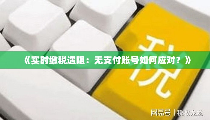 《实时缴税遇阻:无支付账号如何应对?》