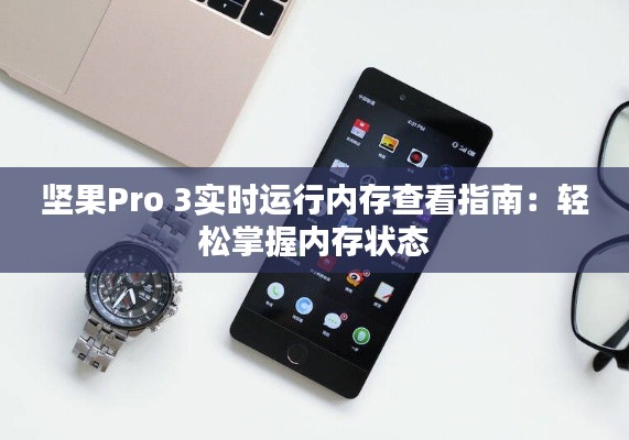 坚果Pro 3实时运行内存查看指南：轻松掌握内存状态