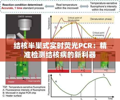 结核半巢式实时荧光PCR：精准检测结核病的新利器