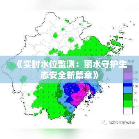 《实时水位监测：丽水守护生态安全新篇章》