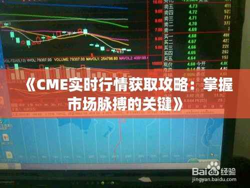 《CME实时行情获取攻略：掌握市场脉搏的关键》