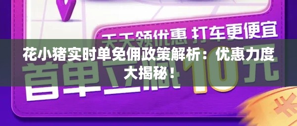 花小猪实时单免佣政策解析：优惠力度大揭秘！