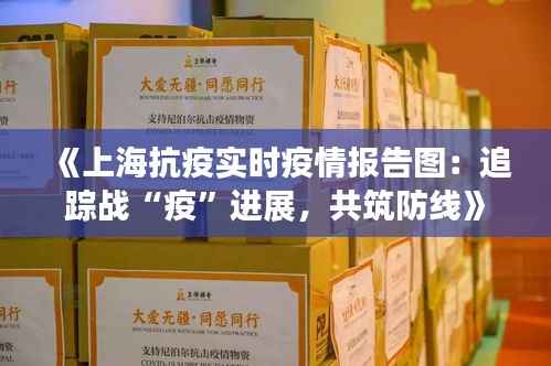《上海抗疫实时疫情报告图：追踪战“疫”进展，共筑防线》