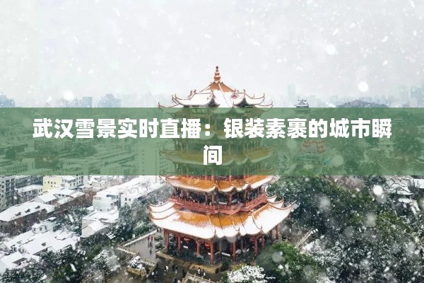 就楼磨刀 第6页