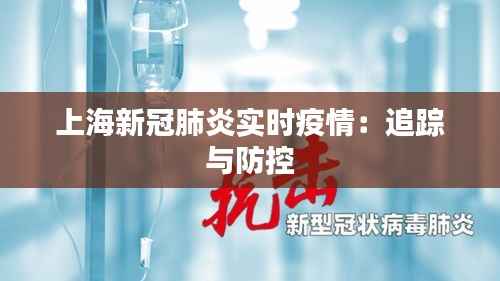 上海新冠肺炎实时疫情：追踪与防控