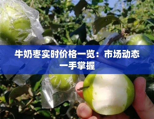 牛奶枣实时价格一览：市场动态一手掌握